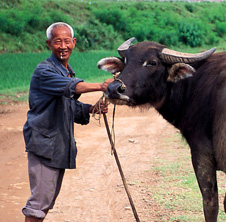 小型飼料顆粒機(jī),農(nóng)民圓夢(mèng)！